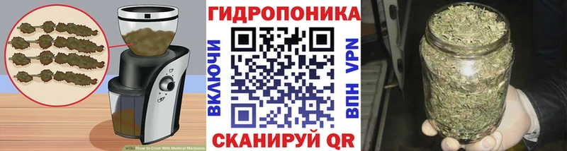 Cannafood конопля  продажа наркотиков  Кингисепп 