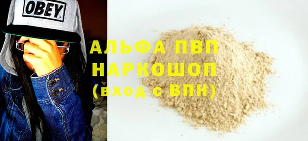 гашик Арсеньев