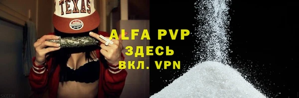 прущие грибы Сатка